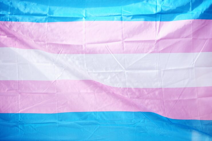 Bandeira trans