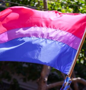 Bandeira bissexual, foto de Peter Salanski