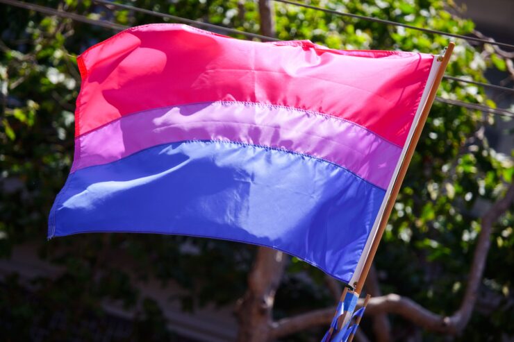 Bandeira bissexual, foto de Peter Salanski