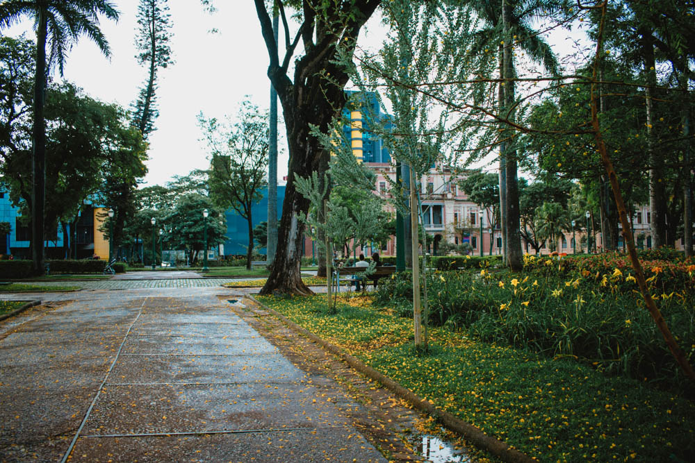 Foto da praça da liberdade após um período de chuva, o chão está molhado e com flores amarelas espalhadas pela superfície 