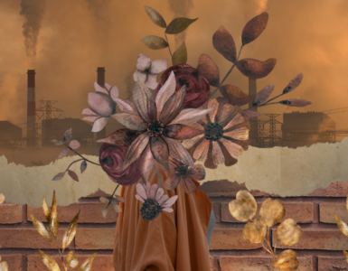 Colagem feita com imagens de chaminés de indústrias sobrepostas com flores secas em tons de laranja