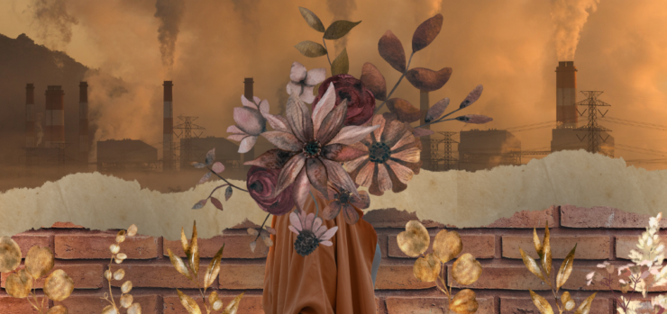 Colagem feita com imagens de chaminés de indústrias sobrepostas com flores secas em tons de laranja