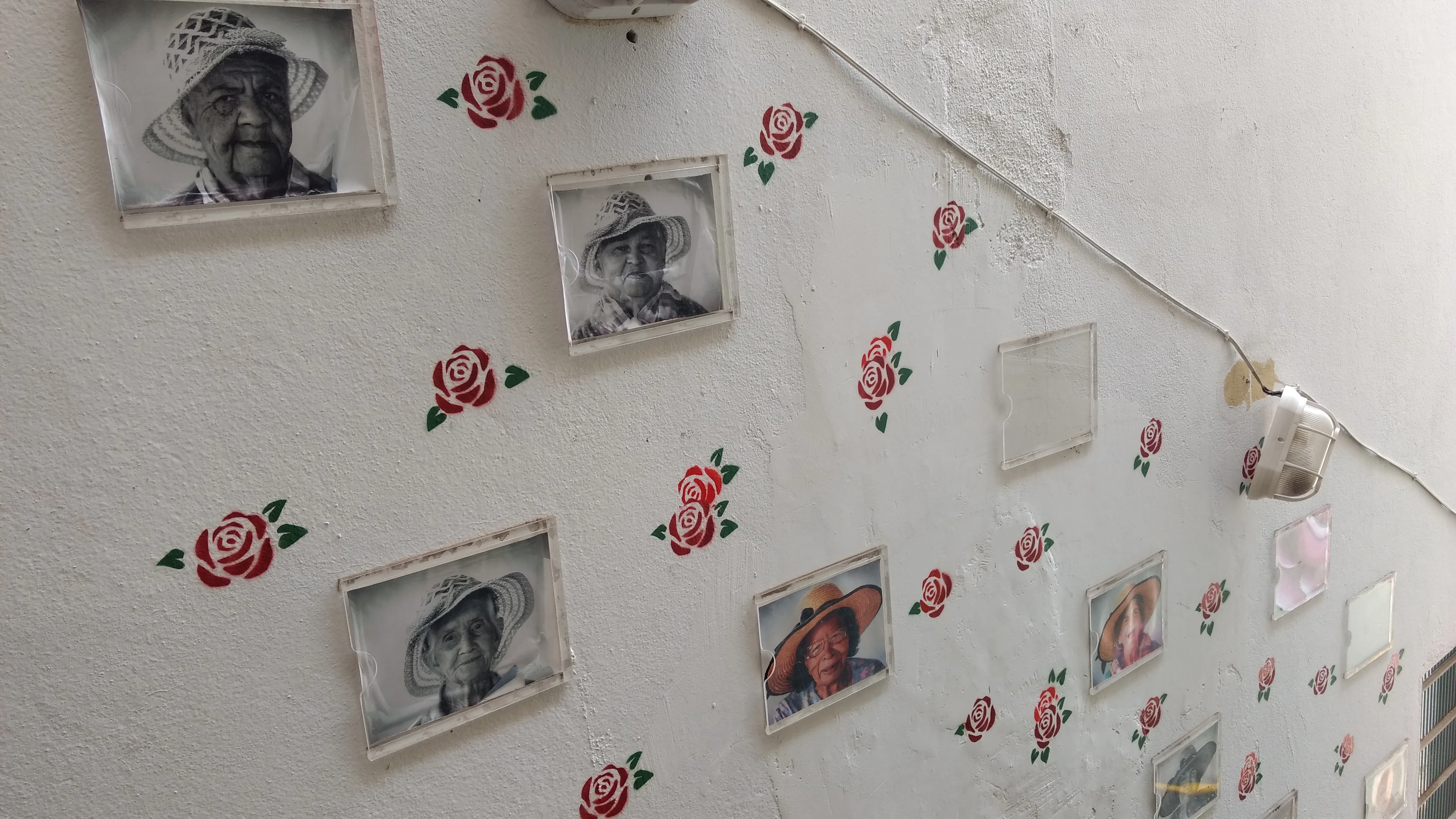 Fotografia digital de uma parede com fotos de idosos em preto e branco e pinturas de flores vermelhas.