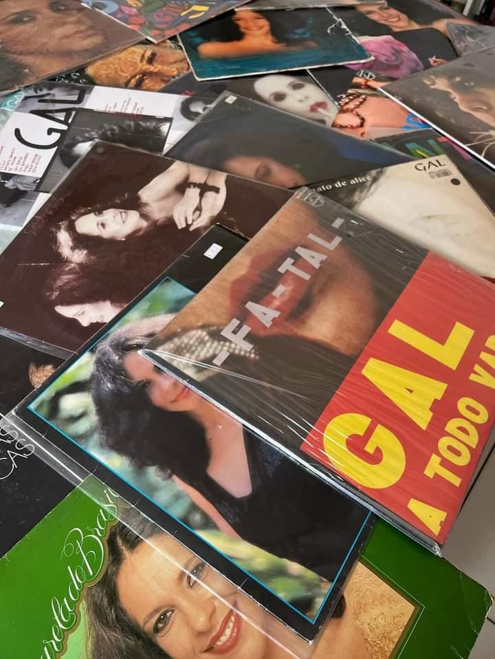 coleção de discos da Gal Costa 