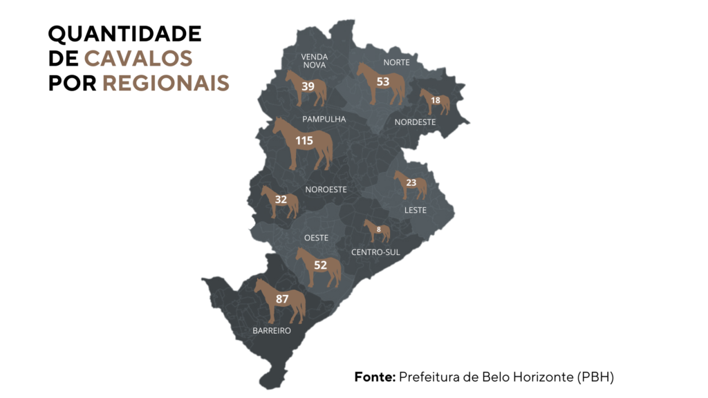 Infográfico mostra a quantidade de cavalos por regionais da capital. A região da Pampulha possui mais cavalos, com 115.