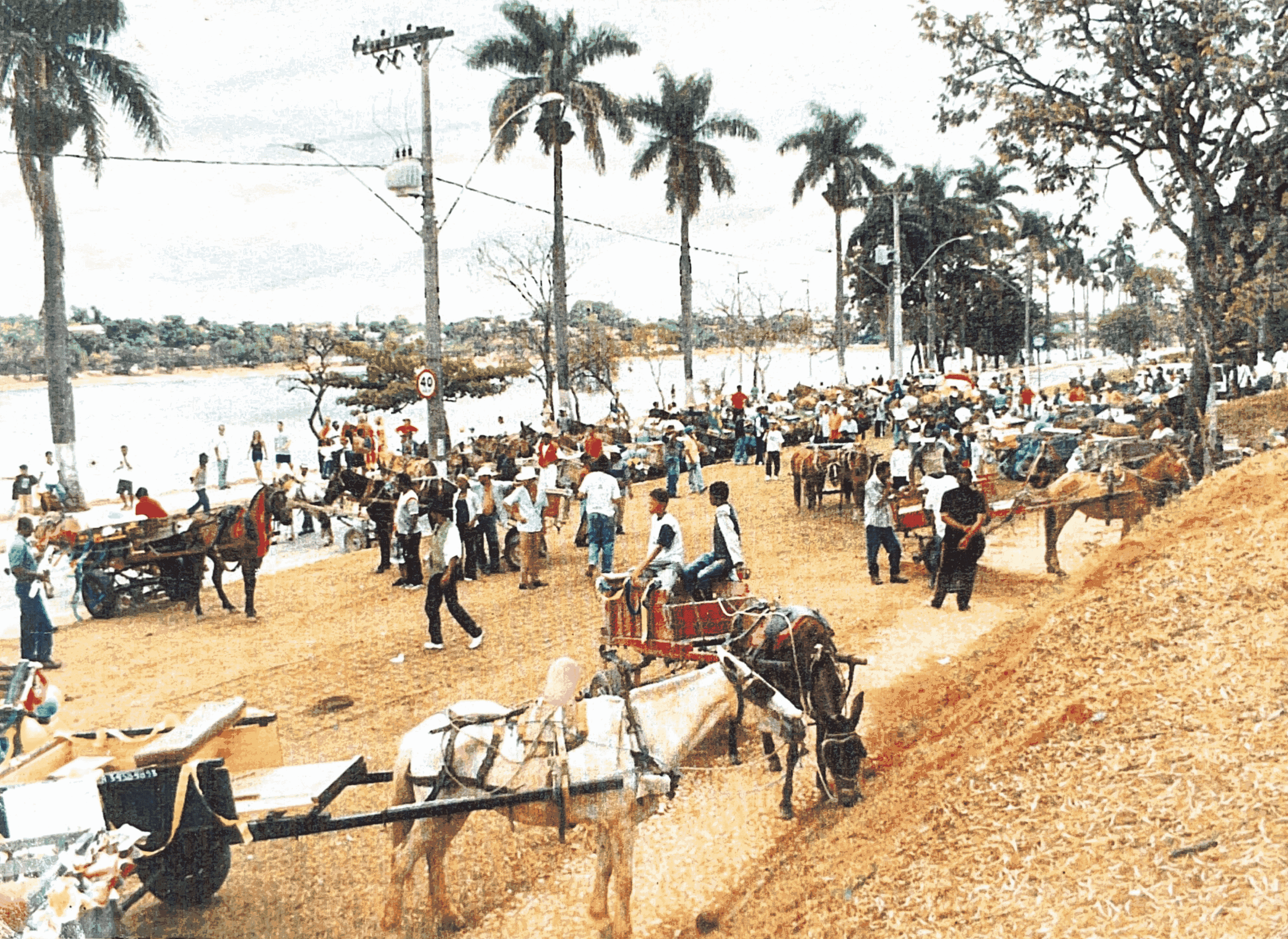 Carroceiros, carroças e cavalos nas ruas de Belo Horizonte.