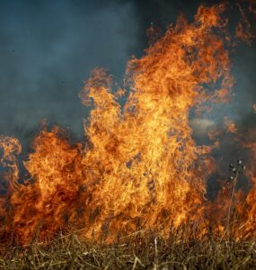 Chamas intensas se espalham por uma vegetação seca, formando um incêndio em área aberta. O fogo é alto, com labaredas laranjas e amarelas que contrastam com o fundo escuro e esfumaçado.