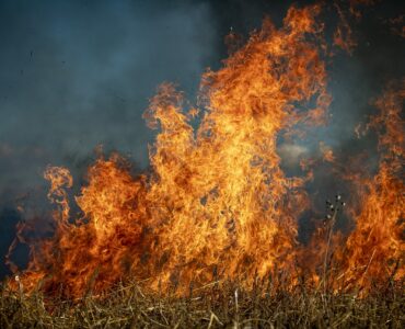 Chamas intensas se espalham por uma vegetação seca, formando um incêndio em área aberta. O fogo é alto, com labaredas laranjas e amarelas que contrastam com o fundo escuro e esfumaçado.