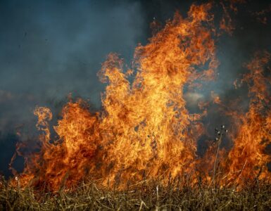 Chamas intensas se espalham por uma vegetação seca, formando um incêndio em área aberta. O fogo é alto, com labaredas laranjas e amarelas que contrastam com o fundo escuro e esfumaçado.