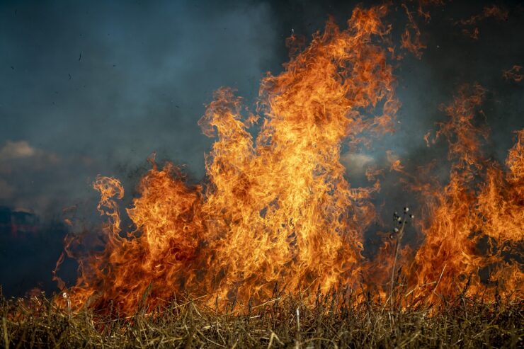 Chamas intensas se espalham por uma vegetação seca, formando um incêndio em área aberta. O fogo é alto, com labaredas laranjas e amarelas que contrastam com o fundo escuro e esfumaçado.