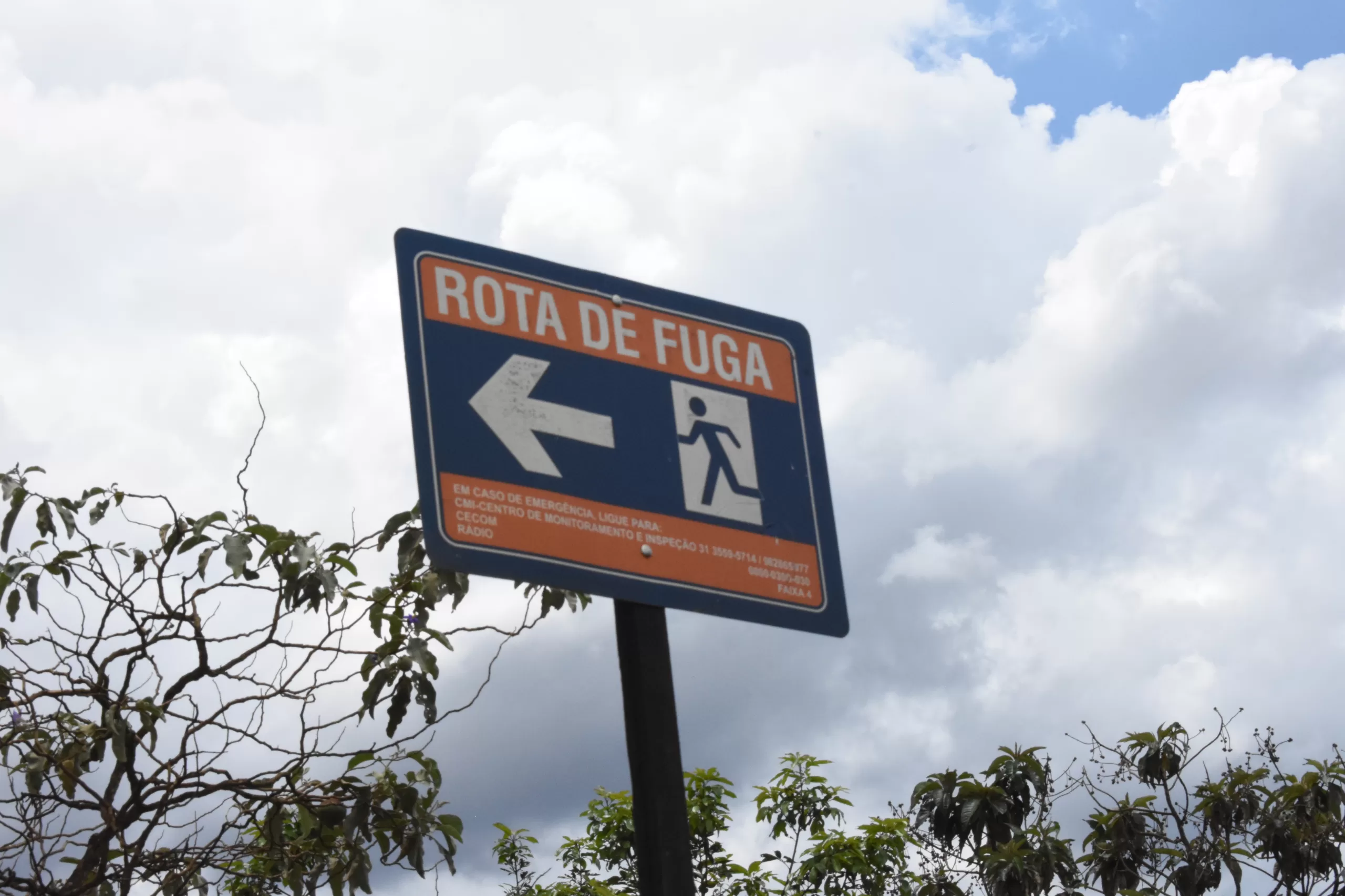 A imagem foi tirada de baixo da placa, com apenas o céu nublado, a placa e galhos de árvore aparecendo. Na placa está escrito em letra caixa alta: ROTA DE FUGA. Abaixo, uma seta para a esquerda e um símbolo de alguém correndo. A placa é laranja e azul escuro.
