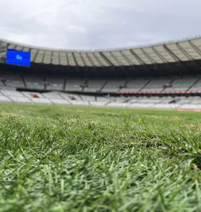 Gramado verde ocupa metade inferior da foto e ao fundo o estádio mineirão e o céu