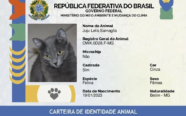 A imagem mostra um exemplo de RG de uma felina