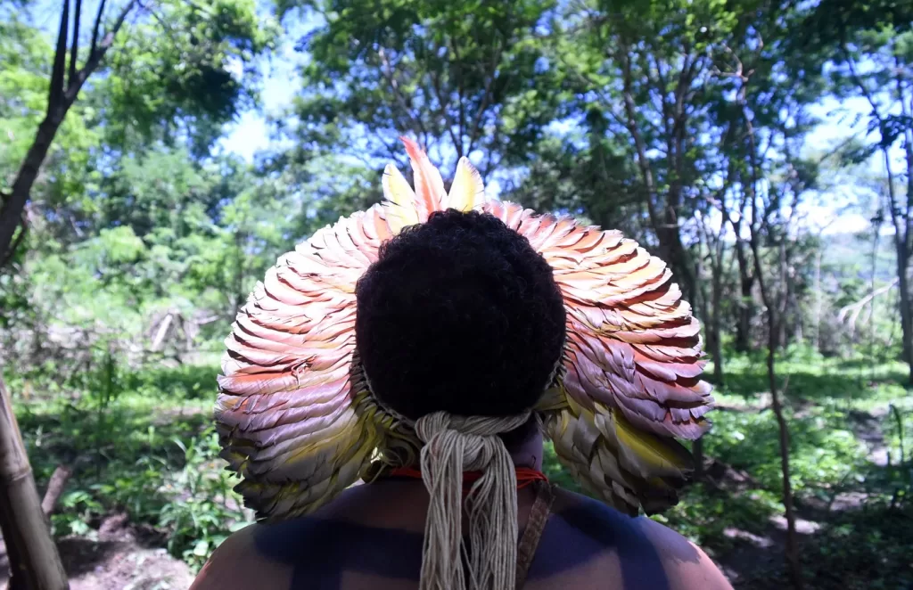 Homem indigena usando um cocar, de costas olhando para a floresta