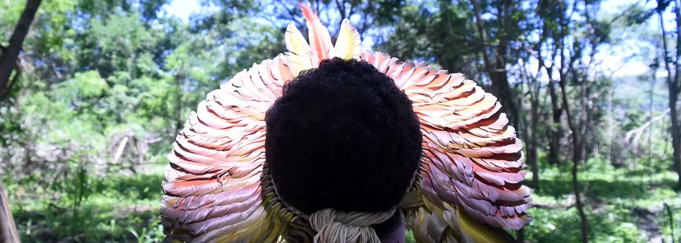 Homem indigena usando um cocar, de costas olhando para a floresta