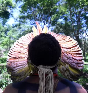 Homem indigena usando um cocar, de costas olhando para a floresta