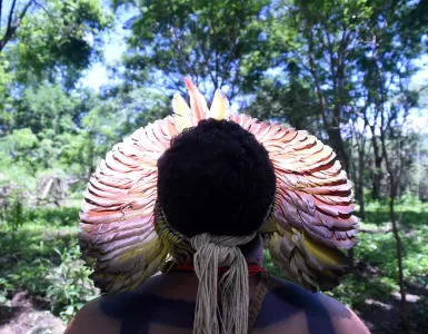 Homem indigena usando um cocar, de costas olhando para a floresta