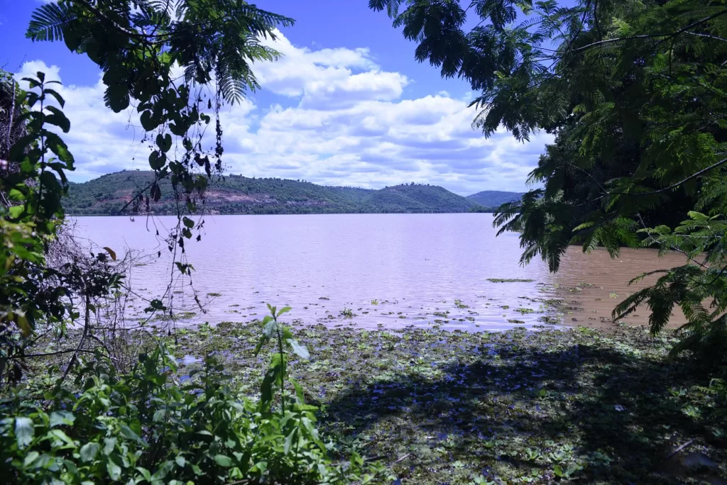 A imagem mostra o Rio Doce com água marrom-clara e plantas aquáticas na margem. Árvores ao redor enquadram a vista, e ao fundo há morros verdes sob um céu azul com nuvens.