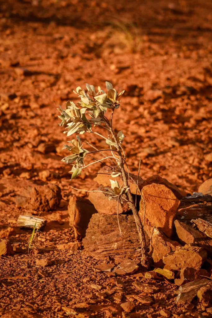 Mineração no Taquaril. Foto: Ella Halfeld