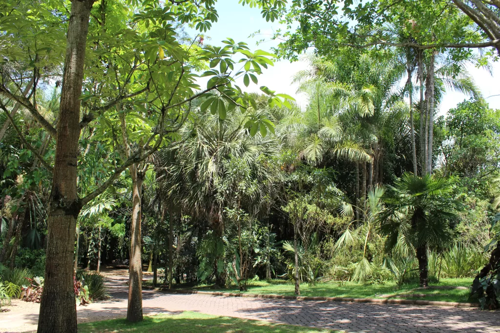 Instituto Inhotim. Foto: Larissa Gino