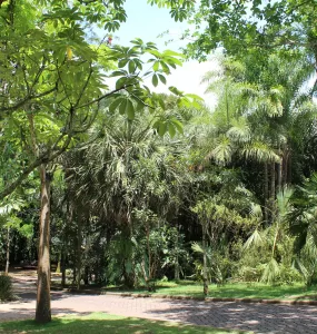 Instituto Inhotim. Foto: Larissa Gino