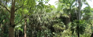 Instituto Inhotim. Foto: Larissa Gino