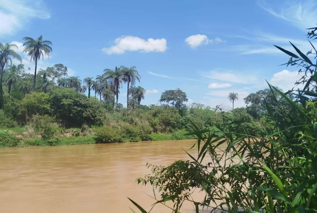 Rio Paraopeba, que já foi fonte de vida, agoniza. Foto: Ana Paula Valentim