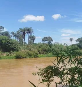 Rio Paraopeba, que já foi fonte de vida, agoniza. Foto: Ana Paula Valentim