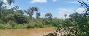Rio Paraopeba, que já foi fonte de vida, agoniza. Foto: Ana Paula Valentim