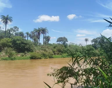 Rio Paraopeba, que já foi fonte de vida, agoniza. Foto: Ana Paula Valentim